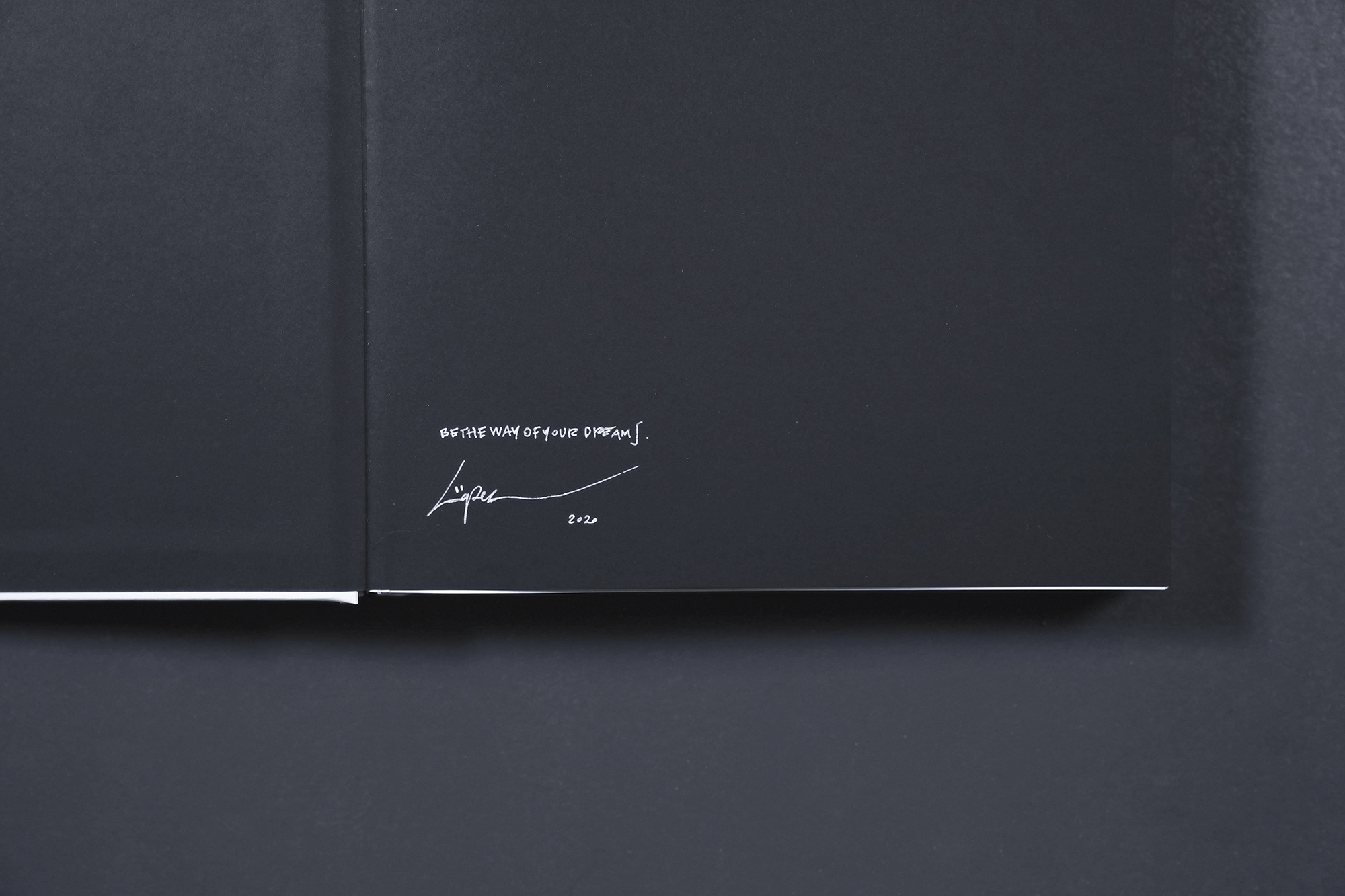 SPECIAL BOX MENTISUGHE E MENTIFUGHE LIMITED EDITION BOOK SPECIAL BOX MENTISUGHE E MENTIFUGHE LIMITED EDITION BOOK - immagine 11