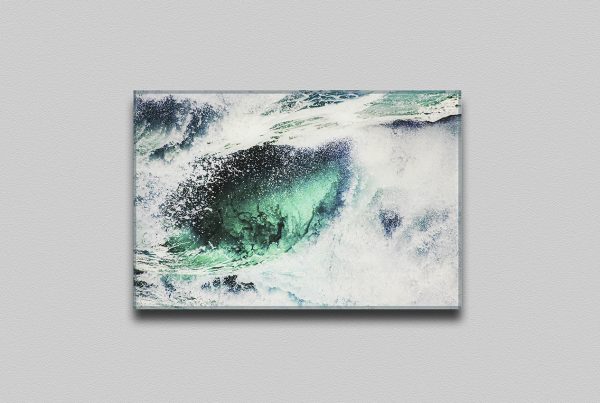 MALAVULVA - STAMPA FINE ART SOTTO PLEXIGLASS