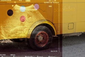 12 PRESE PER IL CULO