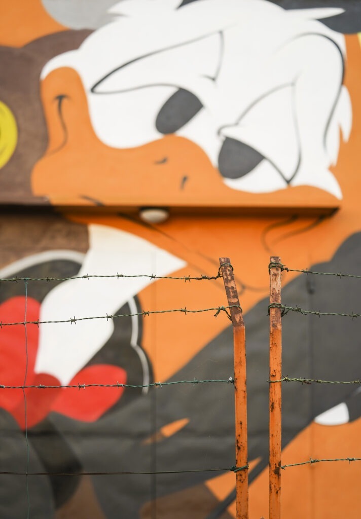 Be the way of your dreams Be the way of your dreams - Galleria fotografica: "Il murale completato"