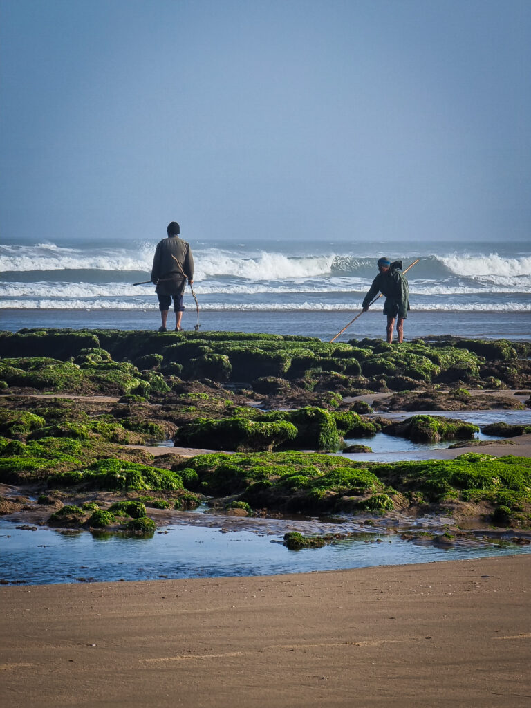 marocco