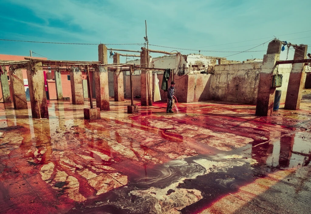 marocco