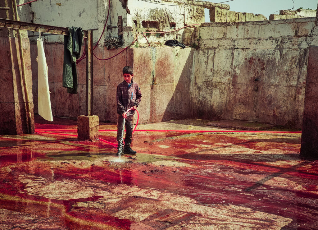 marocco