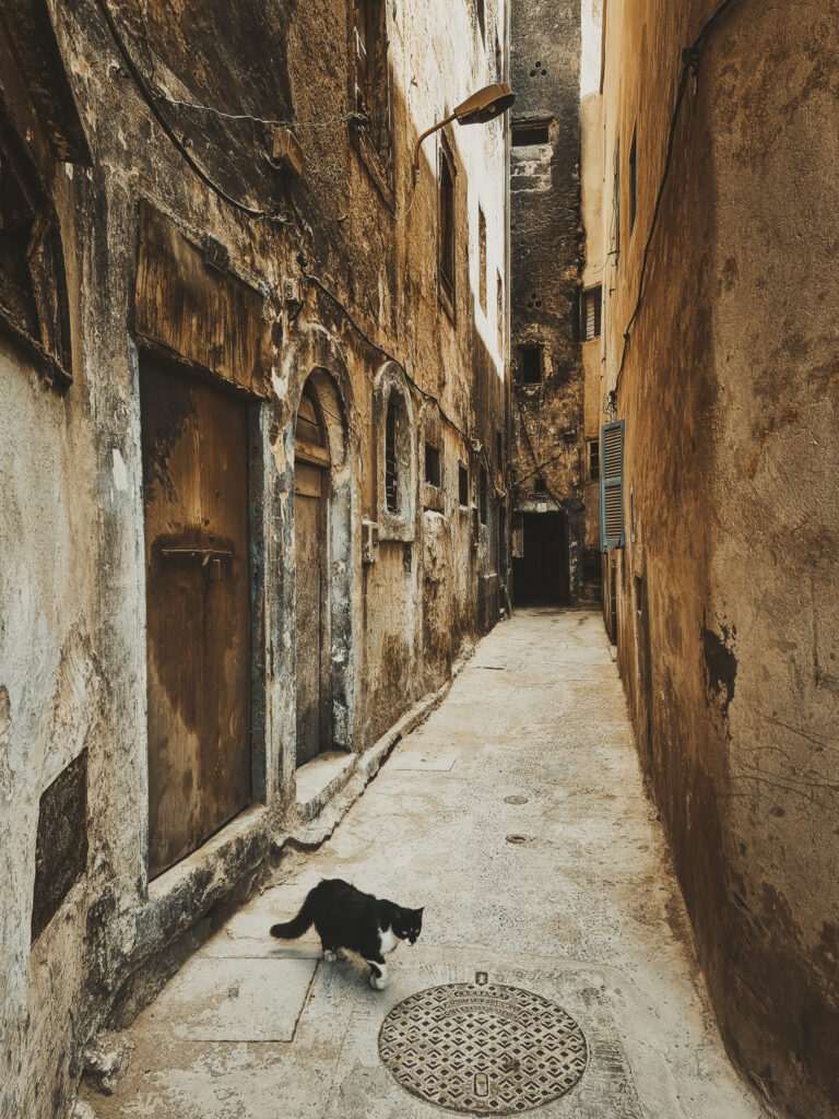 marocco