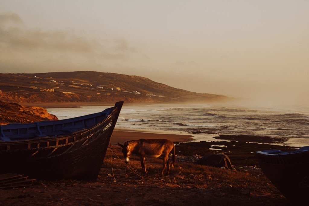 marocco