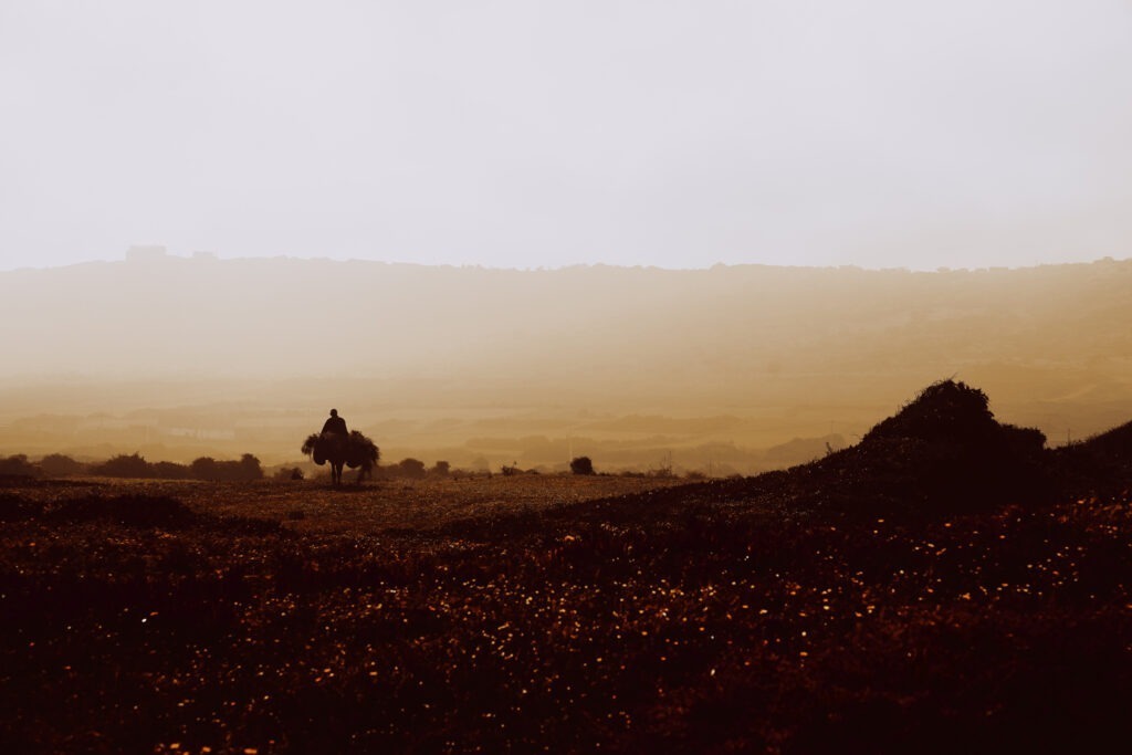 marocco