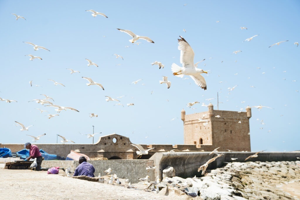 marocco