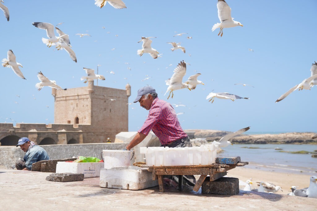 marocco