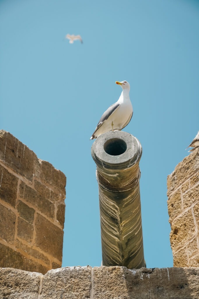 marocco